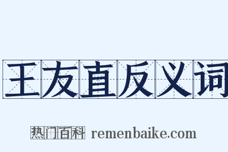 王友直反义词是什么意思的图片